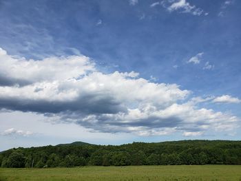 Scenic view of field against sky