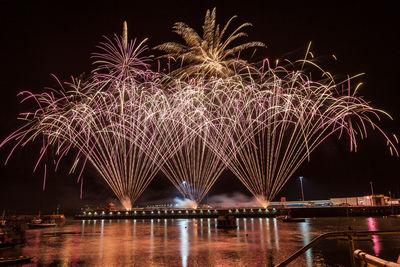 Firework display over river against sky at night