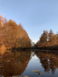 Scenic view of lake against clear sky during autumn