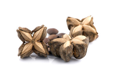 Close-up of bread against white background
