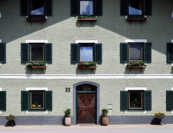 Potted plants on street against building