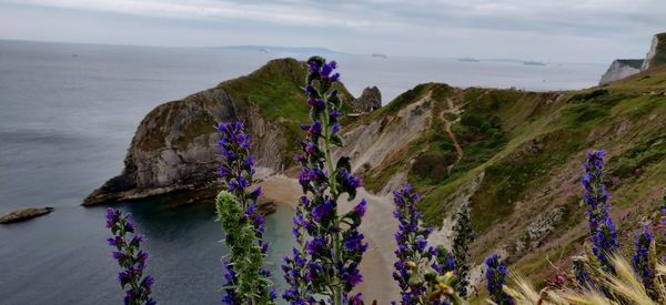 Panoramic view of sea against sky