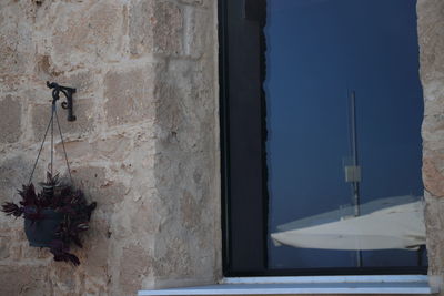 Close-up of window