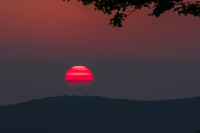 Silhouette of tree against sky during sunset