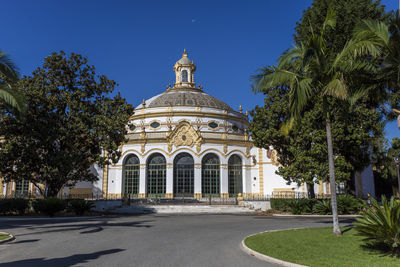 Palm trees and building against blue sky