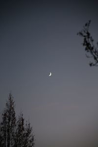 Low angle view of moon in sky at night