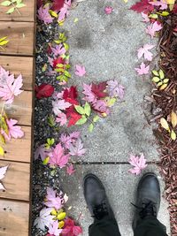 Low section of person standing by pink flowering plants