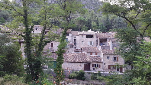 Old building by trees and plants