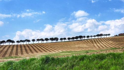 Scenic view of field against cloudy sky