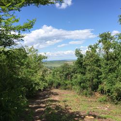 Scenic view of landscape against cloudy sky