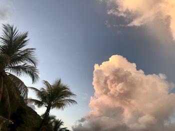 sky