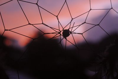 Close-up of silhouette spider against sky at sunset