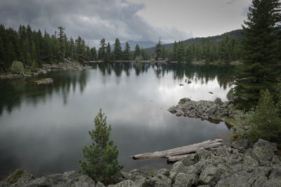 Scenic view of lake by trees against sky