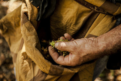 Close-up of man holding leaves