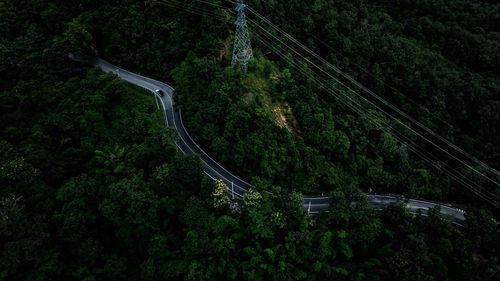 High angle view of road amidst trees
