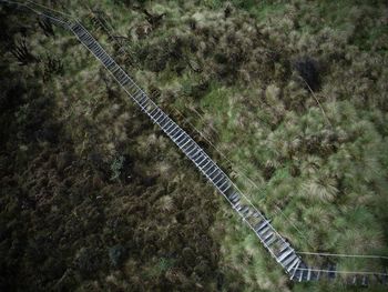 High angle view of steps amidst trees on field