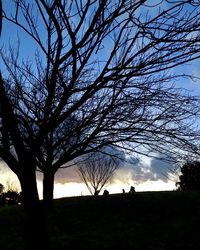 Silhouette bare trees on field against sky