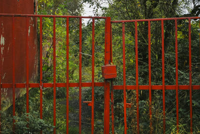 Metal fence by trees in forest