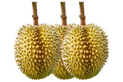 Close-up of fruit over white background