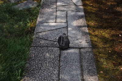 High angle view of stone wall in park