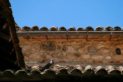 Low angle view of pigeon historical building