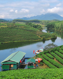 Scenic view of agricultural field against sky