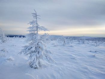 Scenic view of snow covered field against sky