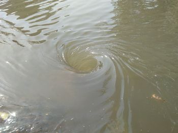 Full frame shot of rippled lake