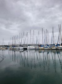 Sailboats moored in harbor