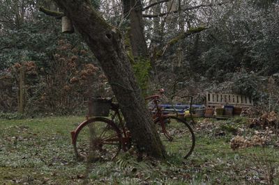 Bicycle parked by tree on field