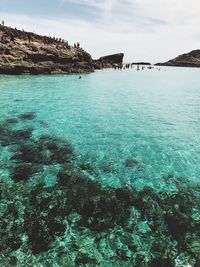 Scenic view of sea shore against sky