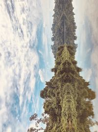 Low angle view of trees against cloudy sky