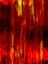 Full frame shot of red rose