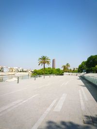 Palm trees against clear blue sky