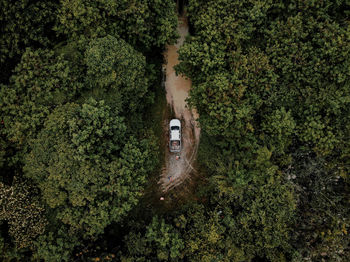 Aerial view of car on dirt road in forest