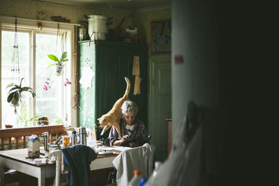 Cat sitting on table at home