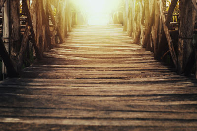 Surface level of wooden pathway along trees