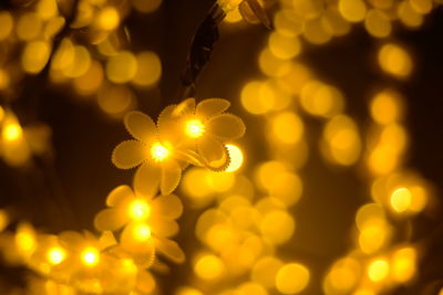 Close-up of yellow christmas lights at night
