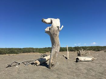 Driftwood on landscape against clear blue sky