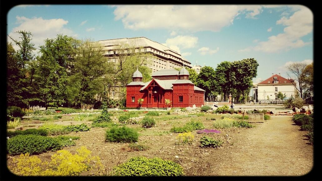 building exterior, architecture, built structure, sky, house, tree, transfer print, cloud - sky, cloud, plant, auto post production filter, residential structure, growth, grass, flower, day, outdoors, cloudy, no people, residential building