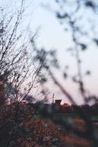 Trees and houses against sky during sunset