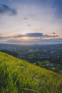 Scenic view of field against sky during sunset