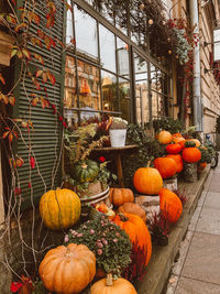 Pumpkins in market during autumn