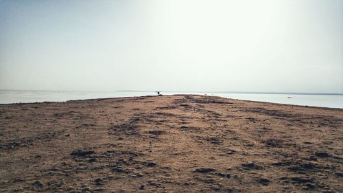 Scenic view of beach against clear sky