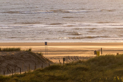 View of beach