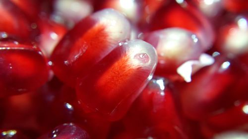 Macro shot of pomegranates