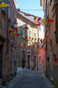 Alley amidst buildings in town