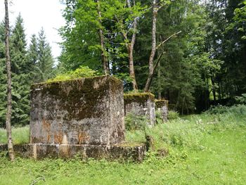 Scenic view of farm against trees