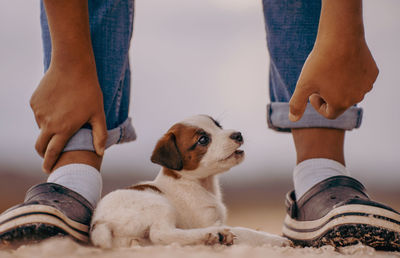 Low section of man with dog