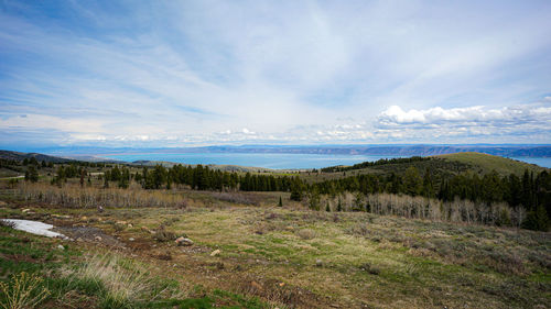 Scenic view of landscape against sky